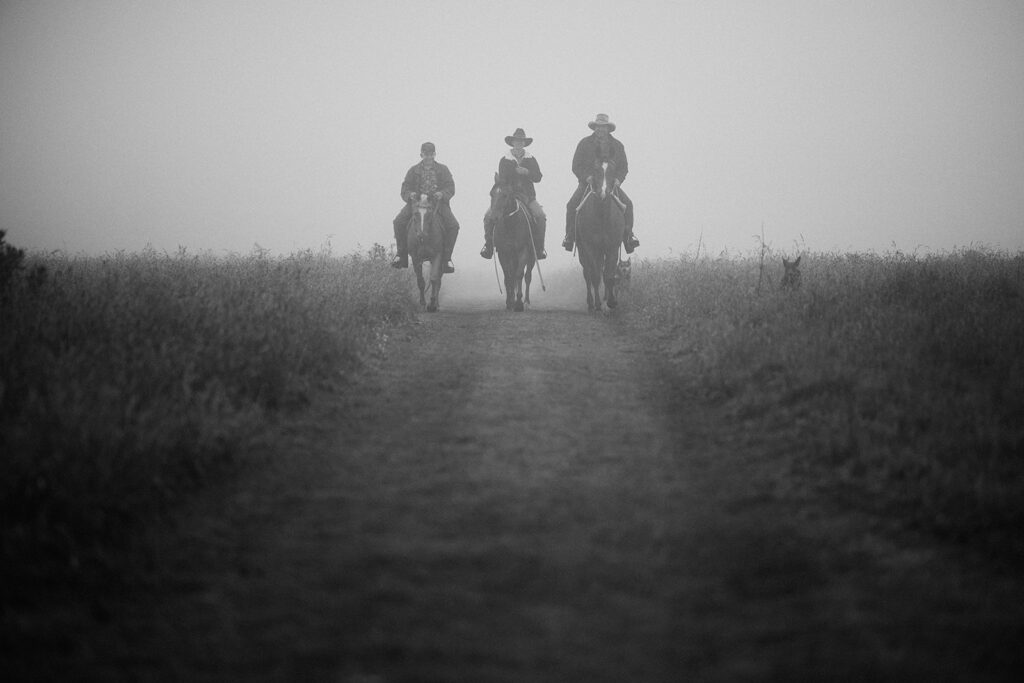 cowboy-misty-morning